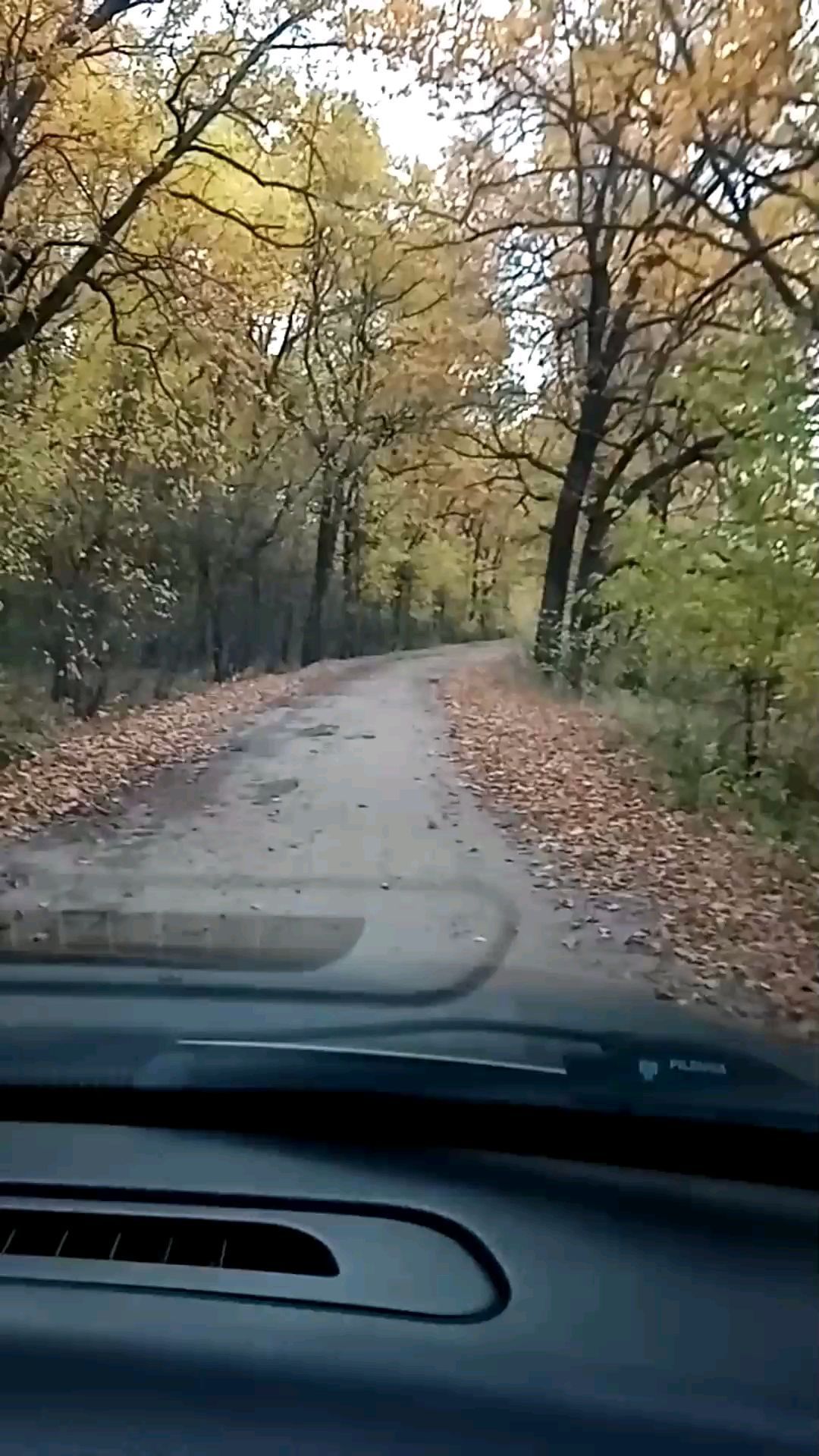 nata.holm in LOOKY. . Встреча 🤗

С ним не...