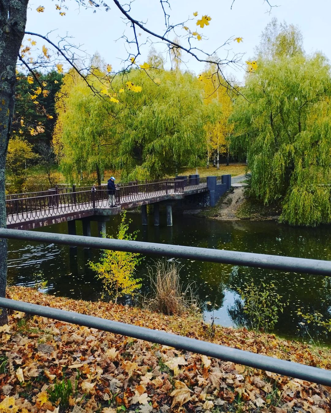 nastya_trenddevchonki в LOOKY — фото 2
