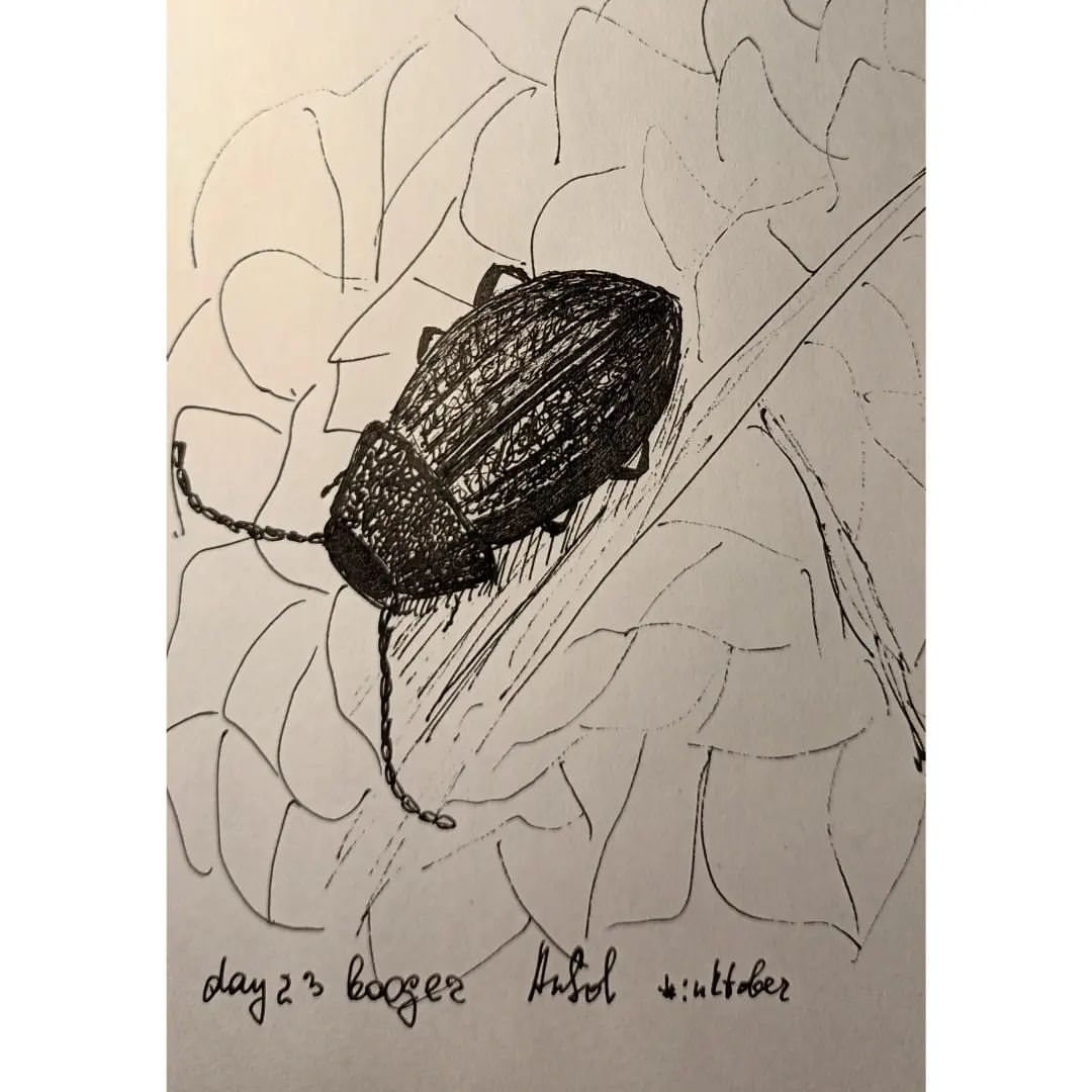 nastiasolkina в LOOKY — День 23, тема booger - козявка. Жук-листоед
#inktoberrussia2