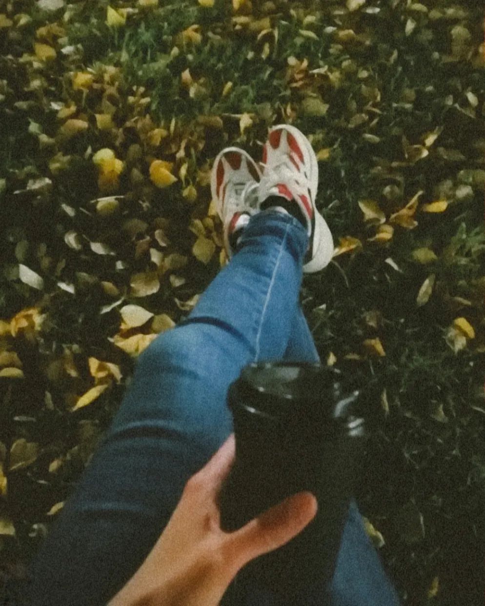 _____elvina_____ в LOOKY — публикация