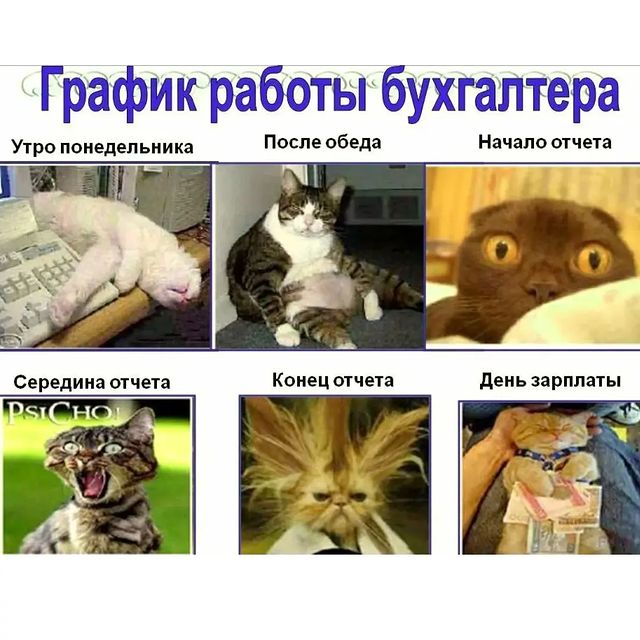 sve4ka_s4astya в LOOKY. #яшчудеса3. Успеть нельзя просро...