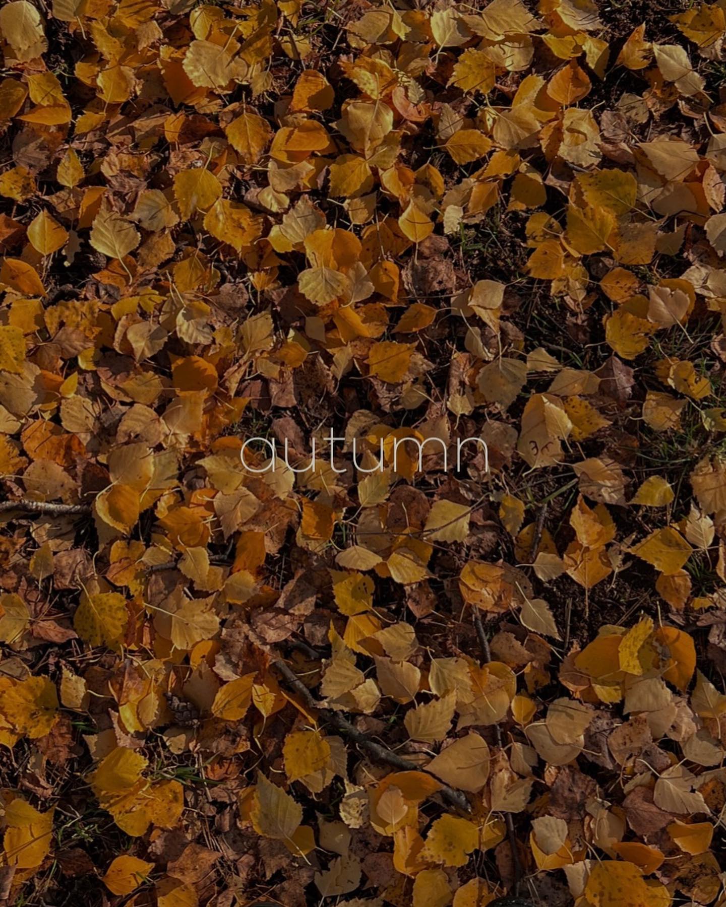 anna_ts_0704 in LOOKY. #autumnvibes🍁. #autumnvibes🍁