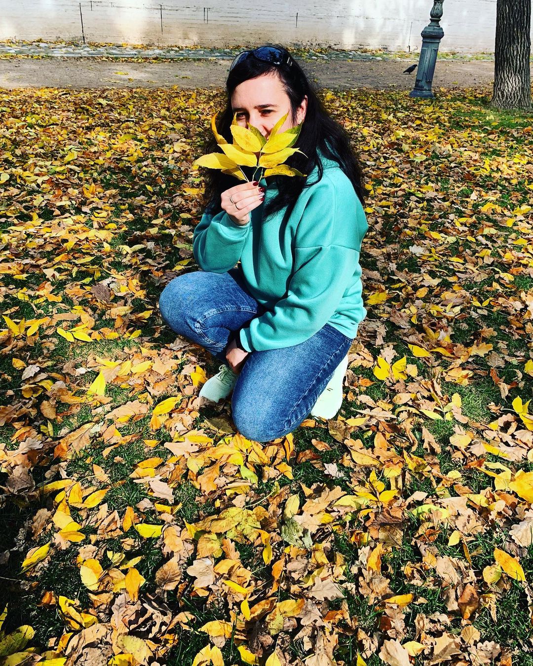 t_v_ivanova в LOOKY — Осенняя пора 22.10.22. #осень #autumn #красиваяосень