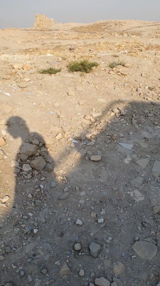 elena10tur в LOOKY. #Узбекистан,#бухара,#Uzbekistan,#bukhara,#видыбухары. Бухара!

#Узбекистан...