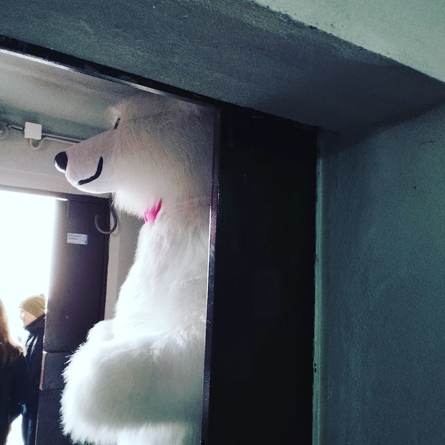 nastya_trenddevchonki в LOOKY. ##медведь,#белыймедведь,#беларусь,#настяилена,#НастяиЛена,#ЛенаиНастя,#ленаинастя,#тренддевчонка,#ТренДДевчонки,#ТренДДевчонки,#ТренДДевчонка,#nastya_trenddevchonki. Смотрите кто сегодня...