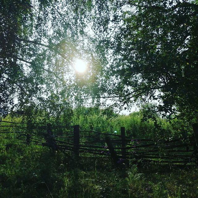 angelgelm в LOOKY. #ЯнаСолар,#рассказосебе,#немногоожизни,#мысливслух,#осебе. Ну что ж доброго дня...