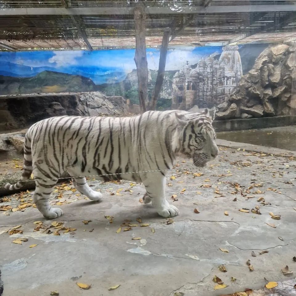 Классно погуляли)