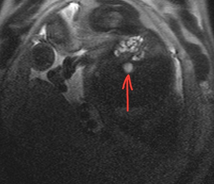 russianradiology в LOOKY — фото 2