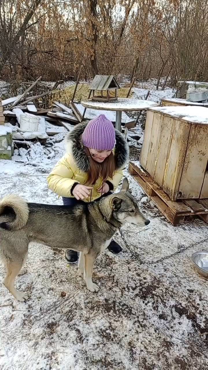 svetlanabnk в LOOKY. . Ева очень нежная соб...
