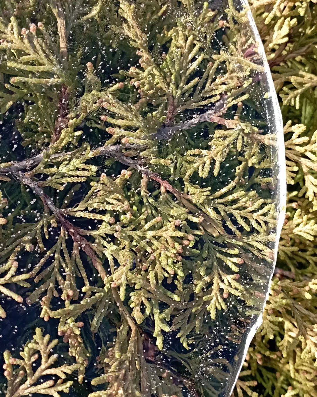 derevenskaia_hizn в LOOKY — фото 9