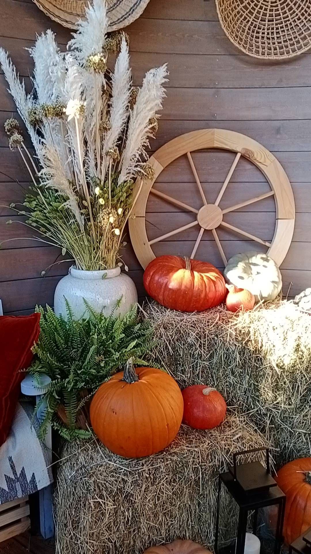 artboosdecor in LOOKY. . null
