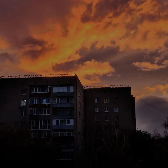 beast_coolfire в LOOKY. . null