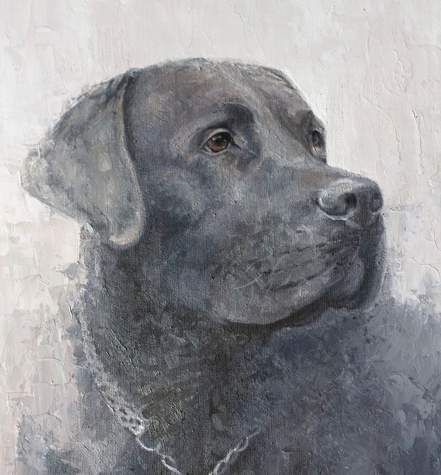 lena_shar_art в LOOKY. #blacklabradorretriever,#blacklab,#labradorretriever,#labsofinstagram,#oilpainting,#fineart,#portrait,#animalportrait,#petportrait,#petsofinstagram,#petsagram,#dogportrait,#dogsofinstagram,#dogstagram,#contemporaryart,#portraitcommission,#природа,#лабрадор,#собаки,#питомец,#elenasharapova. Холст, масло
.
.
.
....