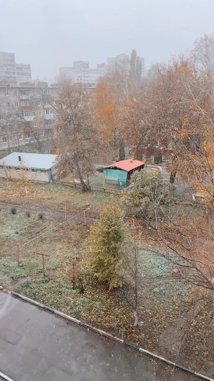 ramcriss в LOOKY. . Снежочек ❄️❄️❄️