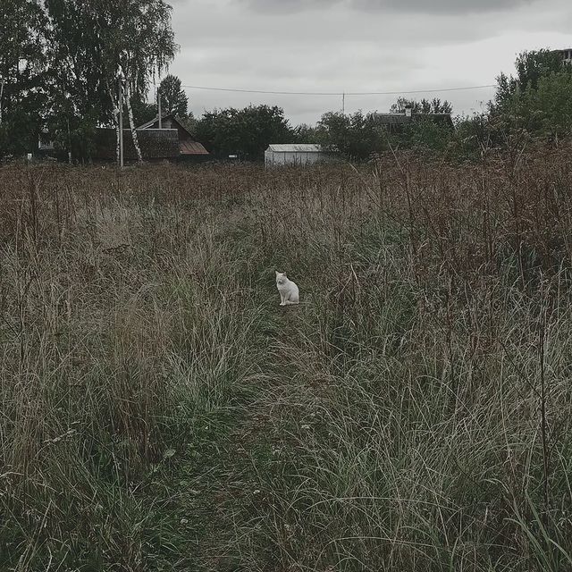aetherl0rd.jpg в LOOKY. . Снаружи всех измерен...