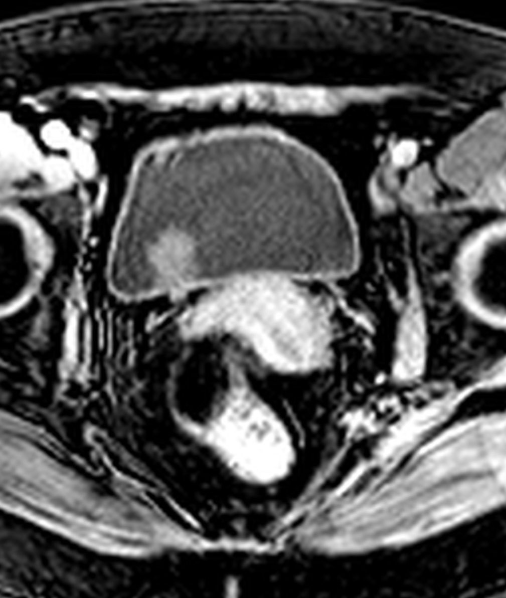 russianradiology в LOOKY — фото 4