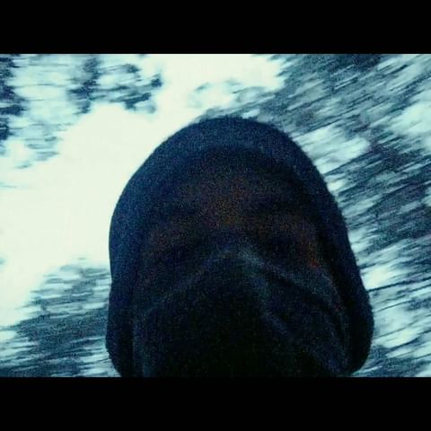 timurishtuganov в LOOKY. . null