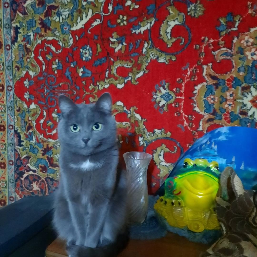 Котэ