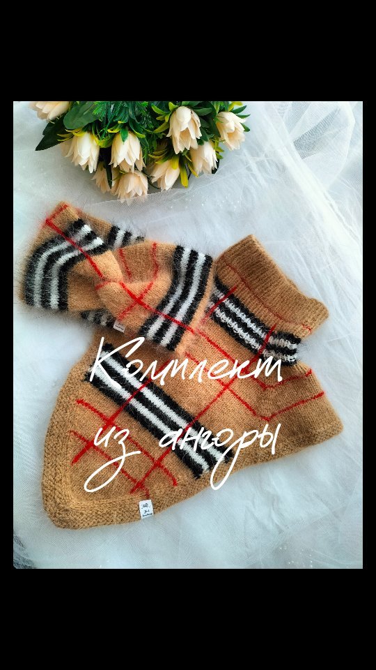 yul.knitting в LOOKY. #комплектизангоры,#комплектизангорыназаказ,#повязкаизангоры,#манишкаизангоры,#пушистыйкомплект,#пушистыйкомплектназаказ,#пушистаяповязка,#пушистаяманишка,#вязанаяповязка,#вязанаяповязкапушистая,#reelsvideo,#reels,#пушистаяповязкабрянск,#вязаниеназаказбрянск. Комплект из ангоры у...