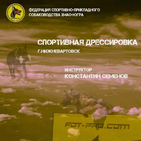 dressirovka_nv in LOOKY. . Уважаемые владельцы ...