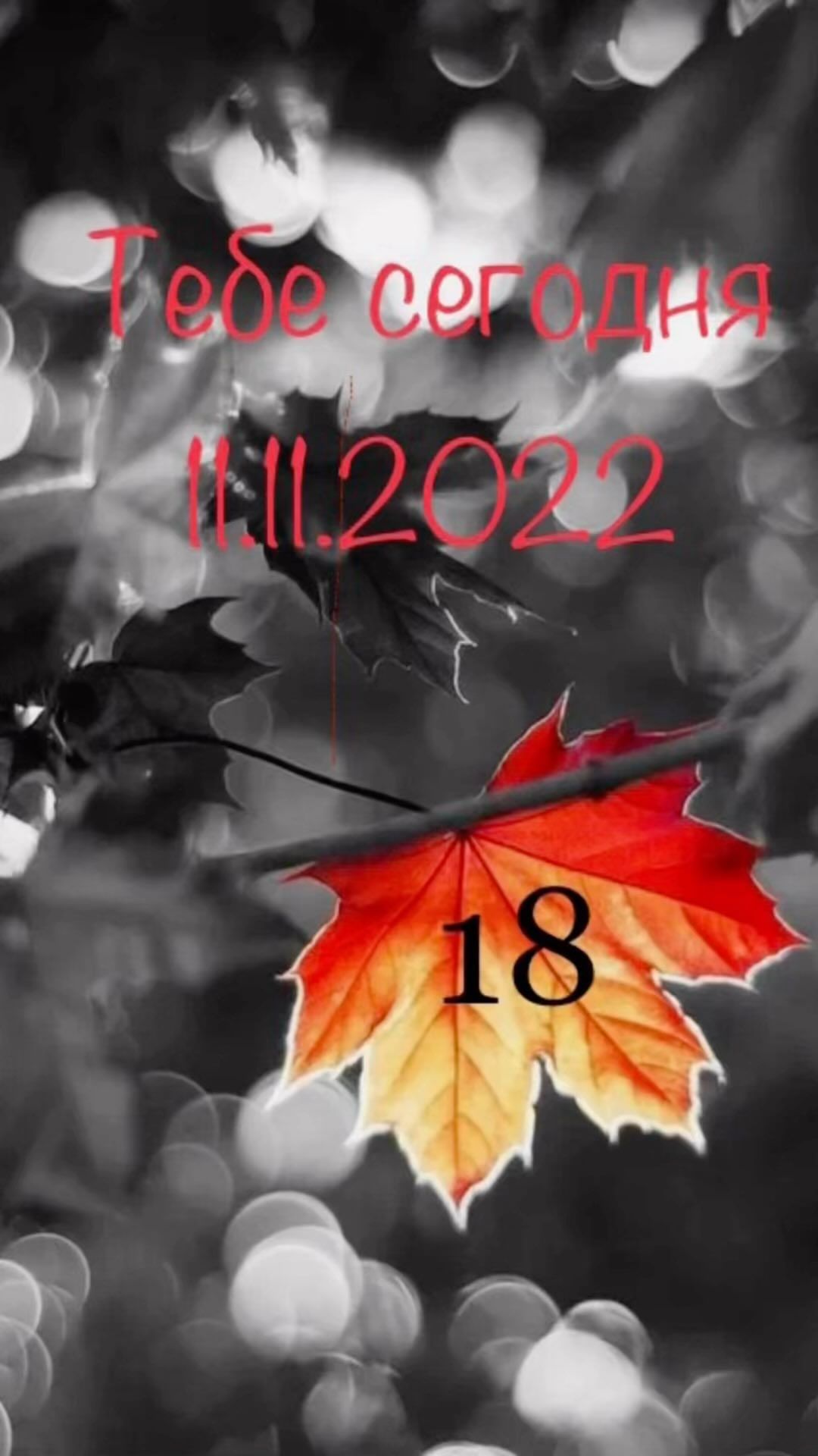 mrs_sasha_sun в LOOKY. . null