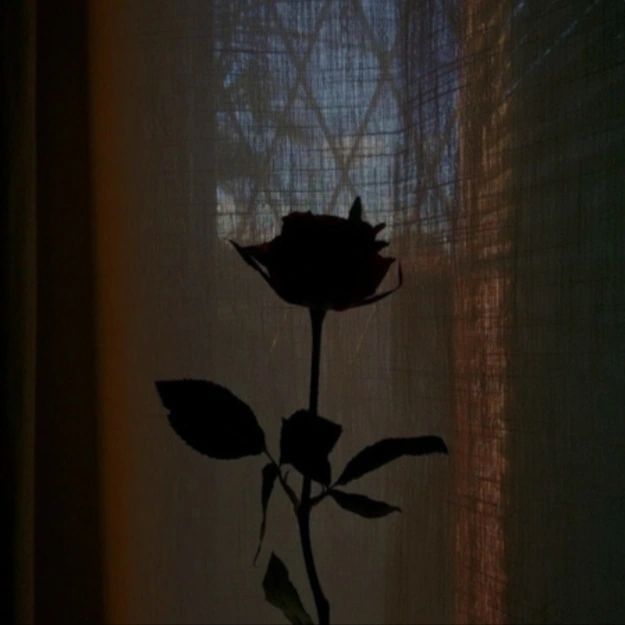 akayohattori в LOOKY. . your tears ...