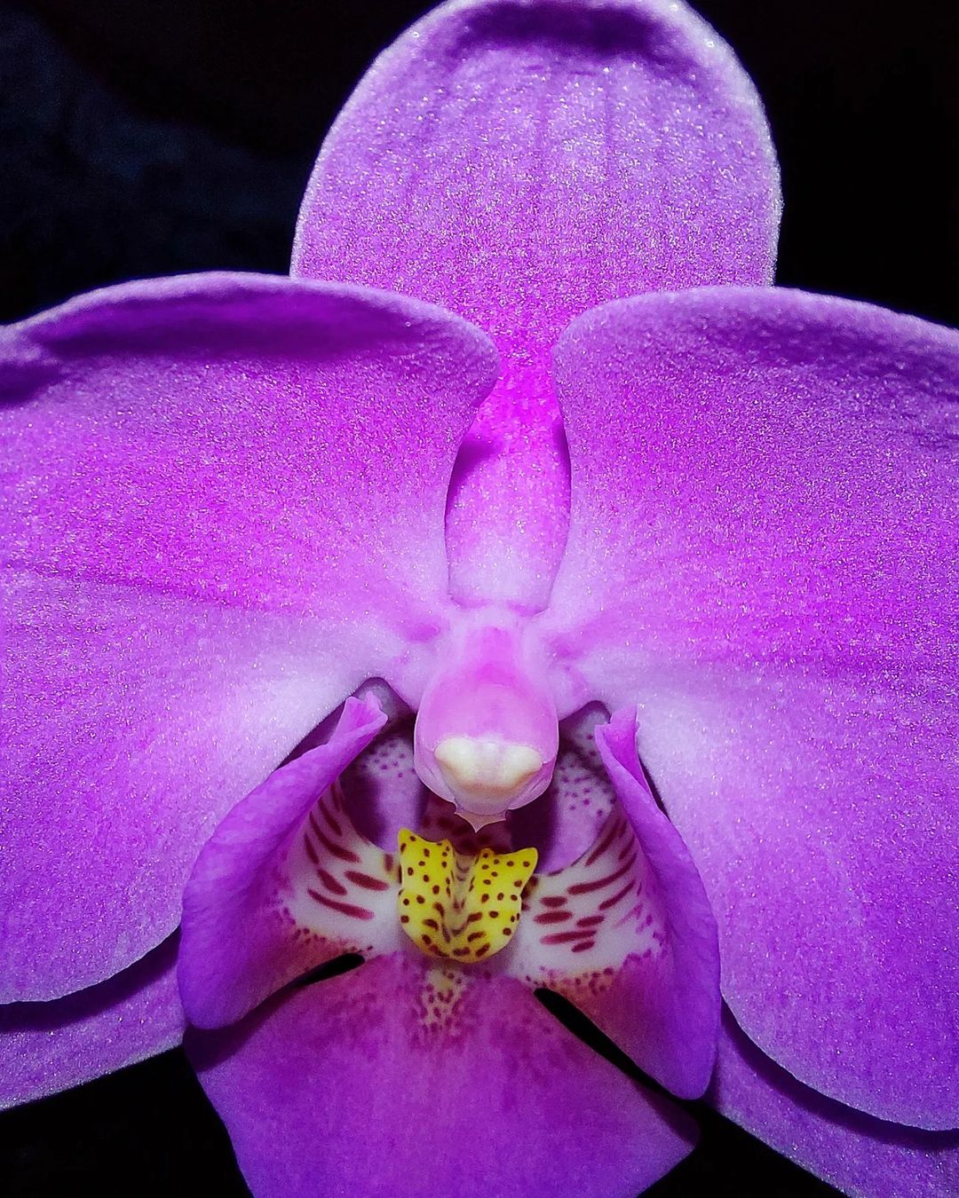 li_m_elina в LOOKY — фото 2