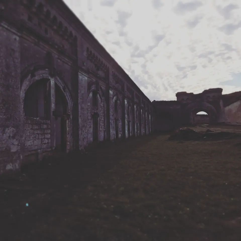 tony_maloy в LOOKY — публикация