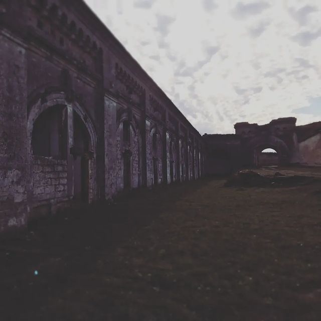 tony_maloy в LOOKY. . null