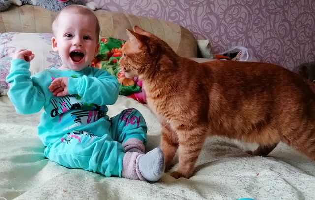 yurika_khv в LOOKY. . 🤣🤣🤣