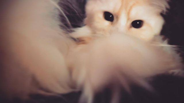 isaev_1973 в LOOKY. . null