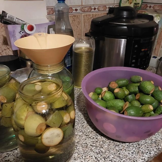 saniks_s в LOOKY. . У кого то сезон закр...