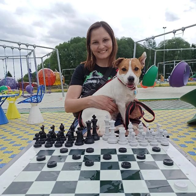 jessi_e_jackrussell в LOOKY. #джекионитакие🐕,#джекрасселтерьер. А не сыграть ли нам ...