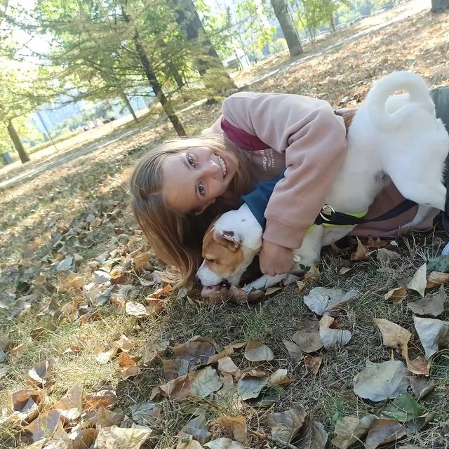 jessi_e_jackrussell в LOOKY. #джекионитакие🐕,#джекрасселтерьер. Девчули ловят солнеч...