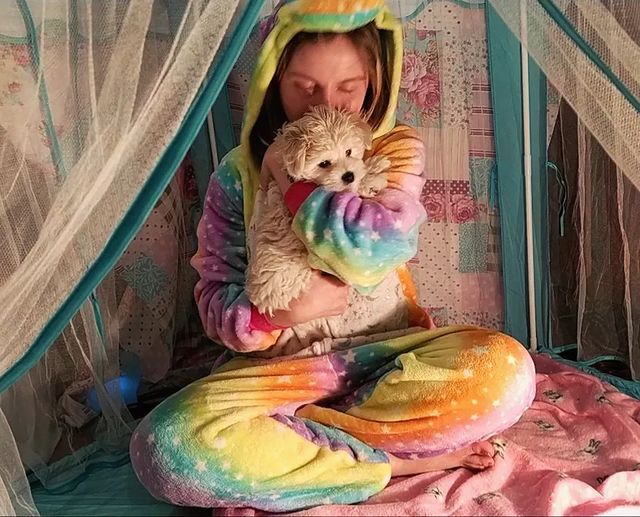 elsa.konova в LOOKY. #щенкимальтипу. #щенкимальтипу