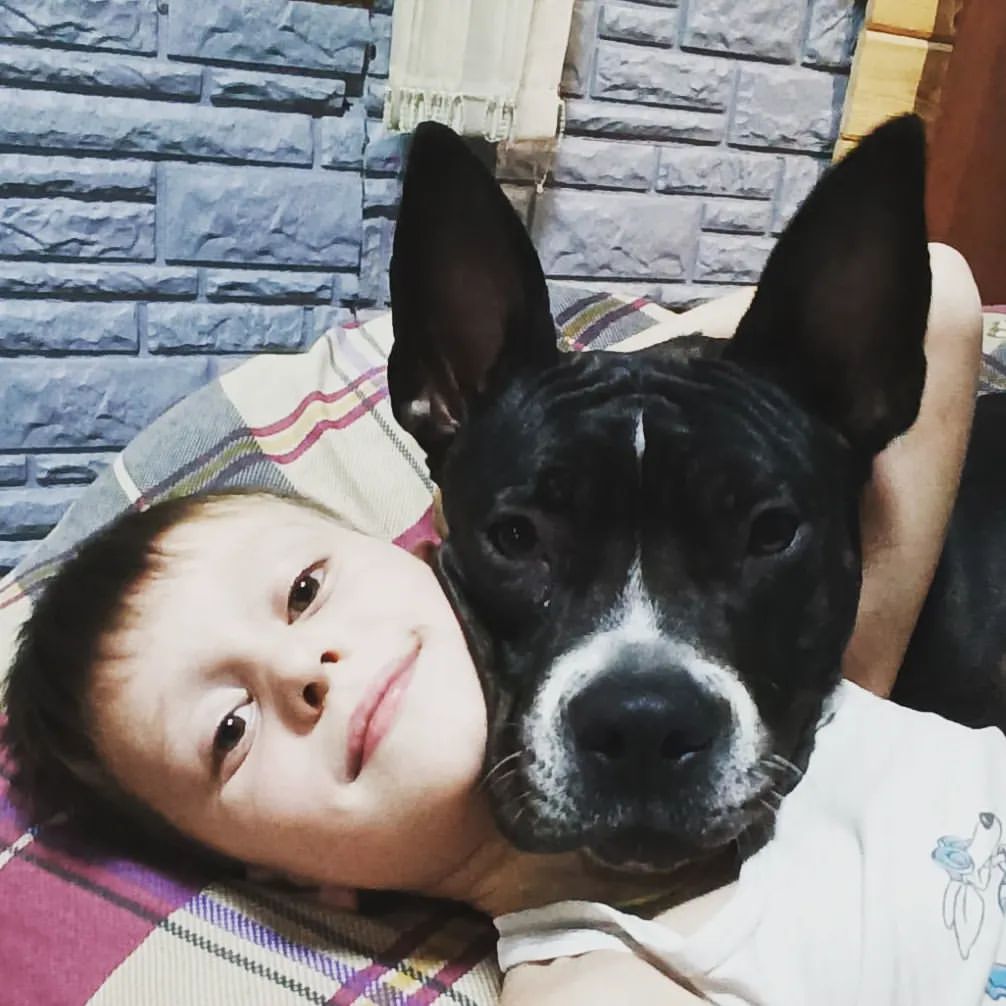 #моидетки #моилюбимки #семья