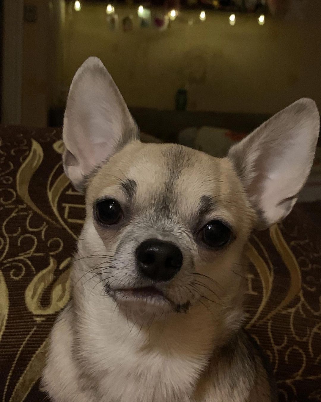Это любовьььь!!!!!
