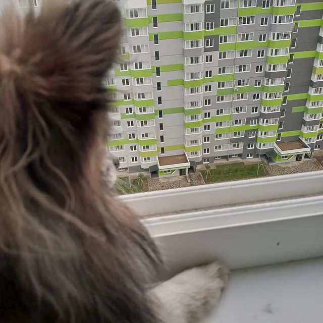 _mika_ell_ в LOOKY. . Были в гостях у моей...