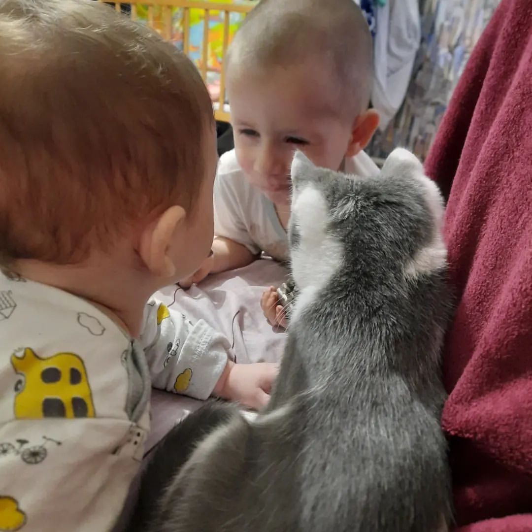 yulechka_1_8_97 in LOOKY. . Переговоры