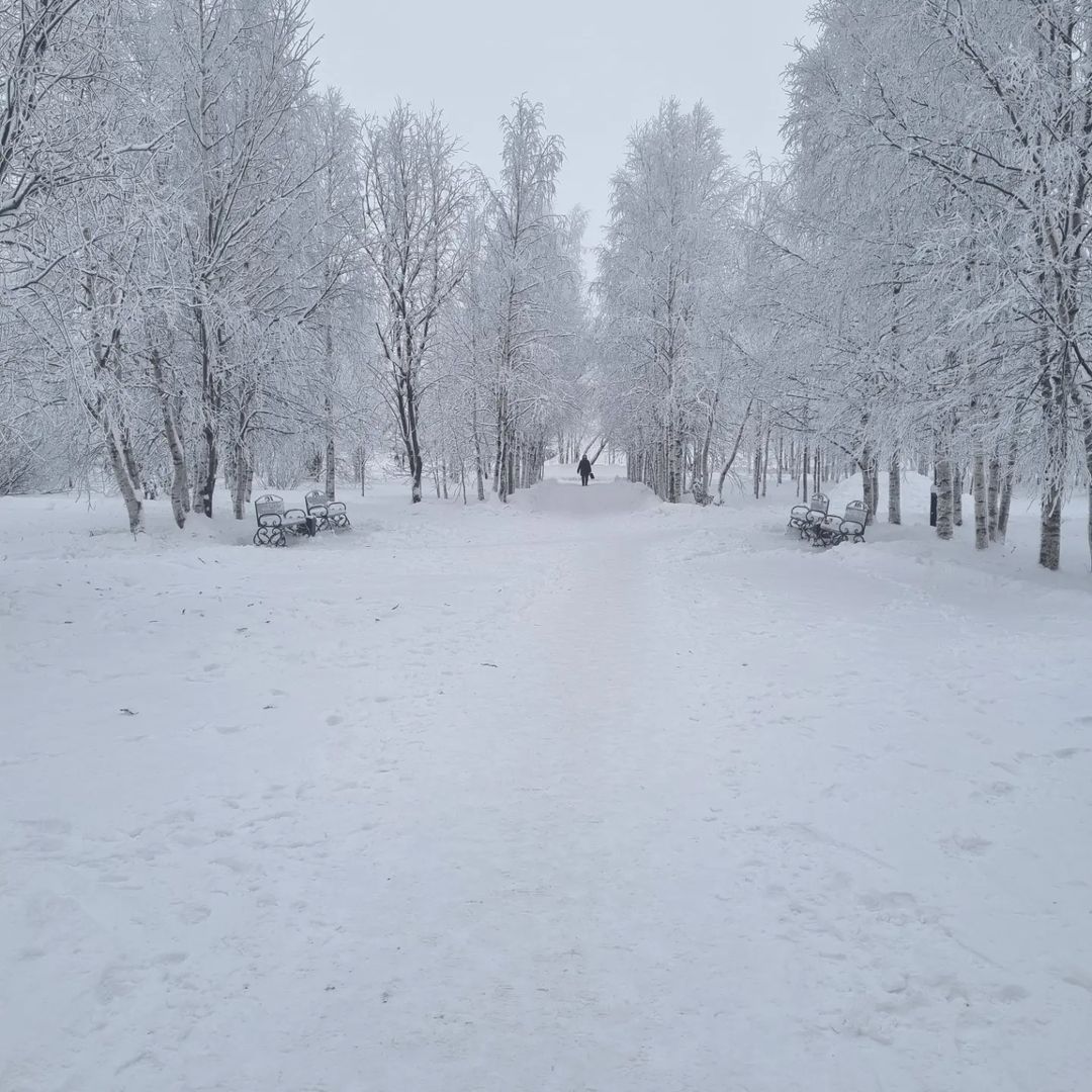 Зимняя сказка
