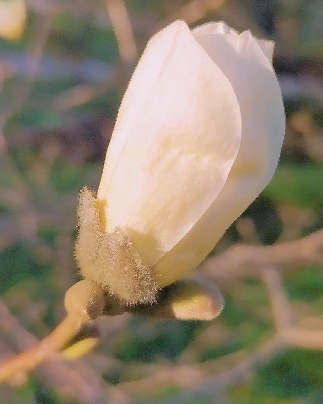 li_m_elina в LOOKY — фото 8