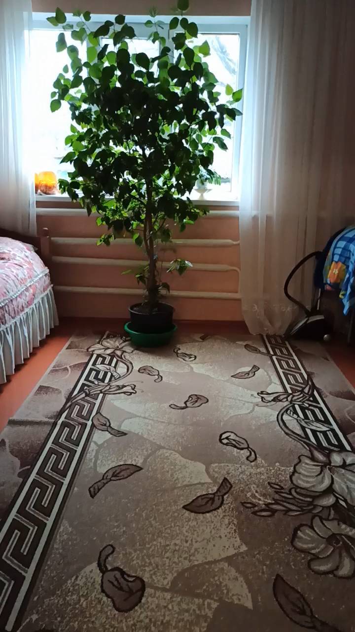aconitcentr в LOOKY. #продаетсянедвижимость. Продаётся благоустро...