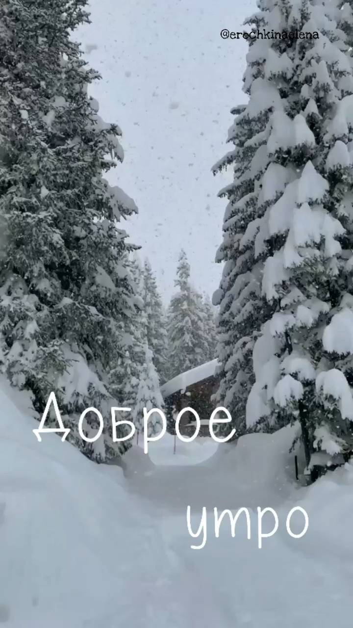 anna_belka2024 в LOOKY. . null