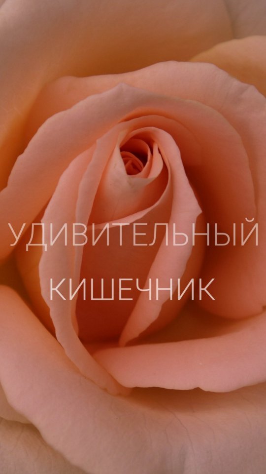 ganvladol в LOOKY. #кишечник,#микробиота,#микробиом,#жкт,#зож,#биохакинг. А вы знали?

В нашем...