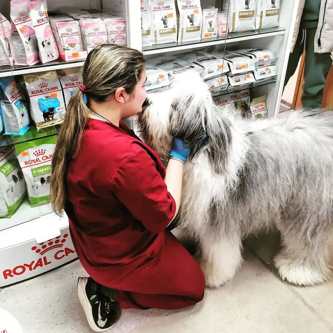 _gecha.vet_ в LOOKY. . И такая красота к на...