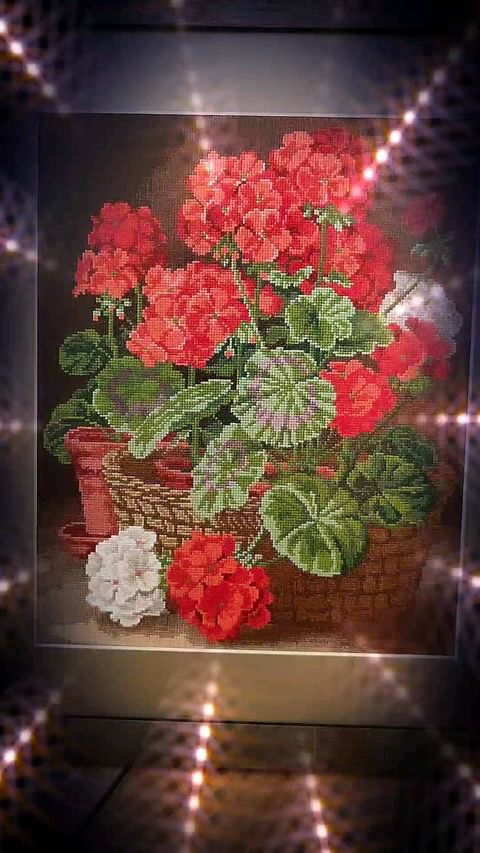 38natella_ в LOOKY. . null