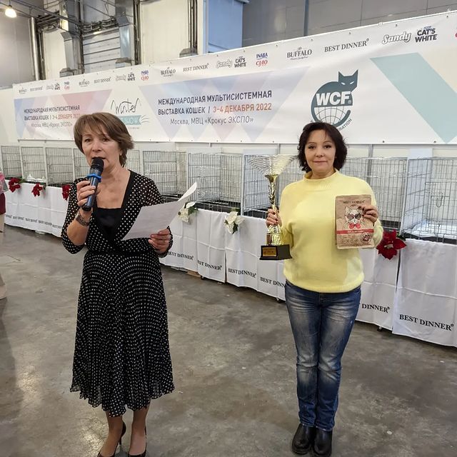 anni_solas в LOOKY. . А мы сегодня на Wint...