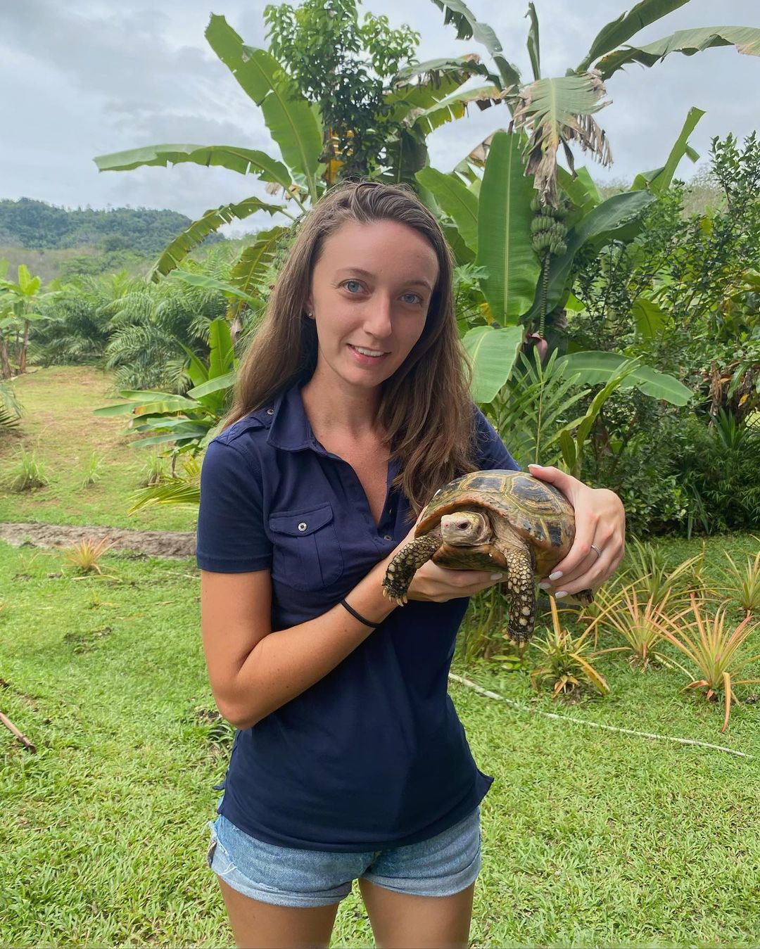 danilinanatalia в LOOKY — Морская черепашка 🐢