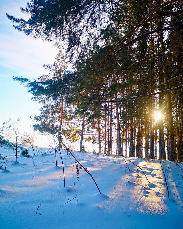 eipatov в LOOKY. . null