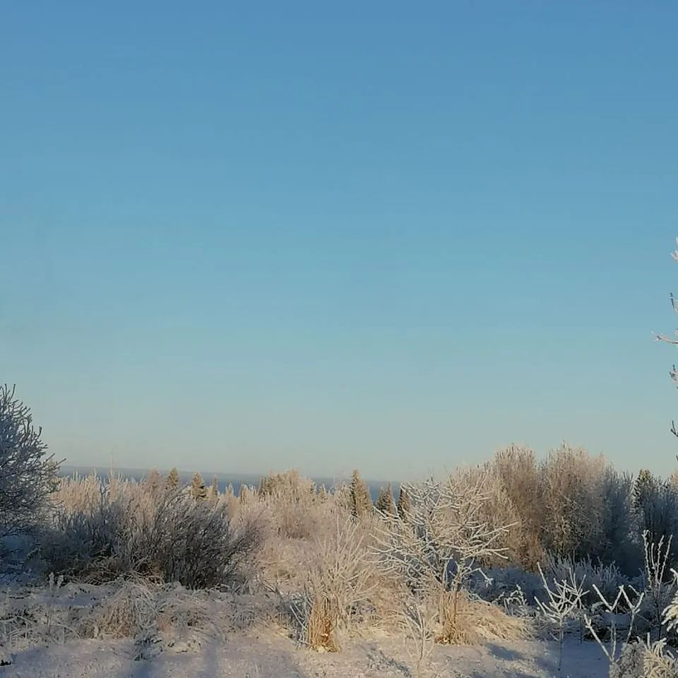 dmitry_blagodaryov